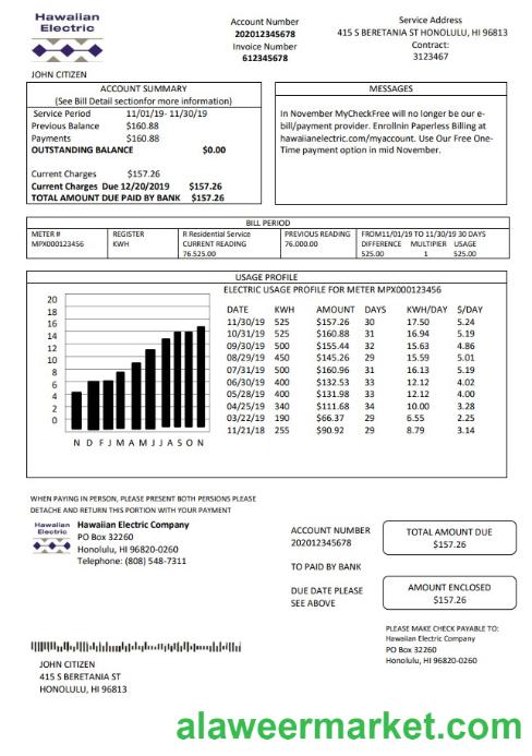 USA Hawaiian Electric utility bill template in Word and PDF format (.doc and .pdf)